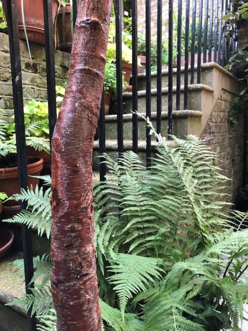 Kings Cross, Self-Contained House & Private Garden Villa ลอนดอน ภายนอก รูปภาพ
